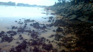 OBRA DE ENGORDA EM PONTA NEGRA  MUITO NECESSÁRIA PEDRAS ESTÃO APARECENDO NA AREIA [upl. by Samira811]