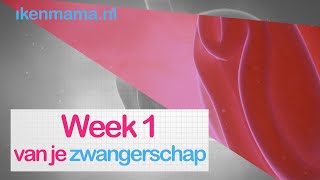 1 week zwanger Bekijk symptomen informatie over de echo en je kindje en je lichaam  ikenmamanl [upl. by Eirrahs]