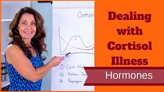 Dealing With Cortisol Illness [upl. by Rollie]