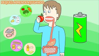 El sistema digestivo para niños Video del aparato digestivo y sus partes De PequesAprendenJugando [upl. by Swithbert]