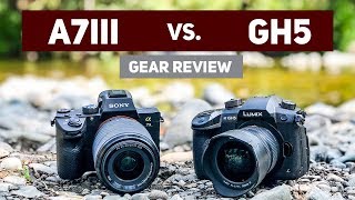 Sony A7iii vs Panasonic GH5 for Video [upl. by Staffard]