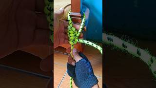 This knot can be useful for many things shorts knot simpul tali ideas tutorial cara method [upl. by Enileve105]