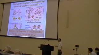 Hikaru Kawamura  Randomnessinduced Quantum Spin Liquid Behavior HFM2018 [upl. by Noiroc]