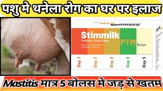 Mastitis Treatment In Cows In Hindi  थनैला रोग का 100 देशी और रामबाण ईलाज  Thanela Rog ka Upchar [upl. by Ydnec]