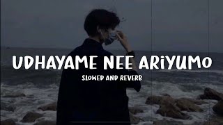 udhayame nee ariyumo  slowed and reverb lyrics [upl. by Hsejar]