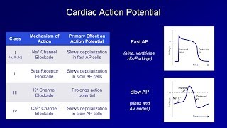 Antiarrhythmics Lesson 1  An Introduction [upl. by Barnard219]