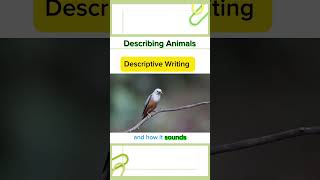 How to describe different animals English writing englishlanguagelearning creativewriting [upl. by Radack664]