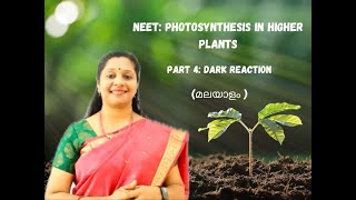 NEET Photosynthesis Part4Malayalam Dark Reaction C3 cycle Calvin cycle Biosynthetic phase [upl. by Peltier]