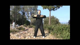 15 Min Daily Standing Meditation Zhan Zhuang Qigong FollowAlong [upl. by Ragse]