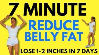 7 Minute Belly Fat Workout  7 Day Challenge  Start Today [upl. by Hercules]