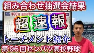 【超速報】組み合わせ抽選会！第96回センバツ高校野球大会のトーナメントをご紹介します [upl. by Reiser665]