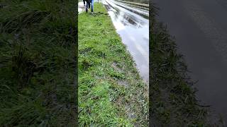 S0401 Draining a puddle on a street to avoid aquaplaning in Germany shorts [upl. by Burkhart]