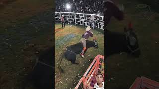 Jo iska Parr kar lenga rodeo bull cowboys horse trendingshorts youtubeshorts cowboylifestyle [upl. by Eilsehc244]