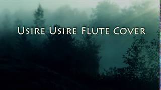 Usire Usire Flute Cover  Instrumental  Huchha  Sudeep  Rakshith Nayak [upl. by Valer]