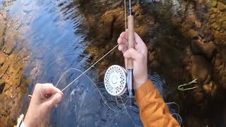 Dry fly fishing with an Orvis Batenkill II [upl. by Thgiwed]