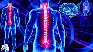 528hz Super Recovery Healing Frequency Whole Body RegenerationCell Nerve Damage Repair Healing [upl. by Cann]