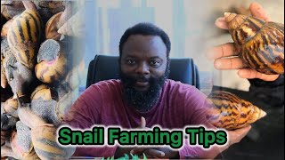 How to Start a Commercial and Backyard Snail Farming  Tips from an Expert [upl. by Llenyr]