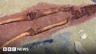 Skeleton reveals early humans had sex with Neanderthals  BBC News [upl. by Brandi595]