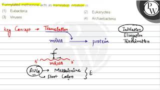 Formylated methionine acts as translation intuation in 1 Eubacter [upl. by Tarkany]