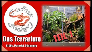 Kornnatter Terrarium TEIL 1  Größe Material Dämmung Außenverkleidung [upl. by Fulbright415]