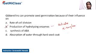 Gibberellins promote KCET 11th Plant Growth and Development [upl. by Narah960]