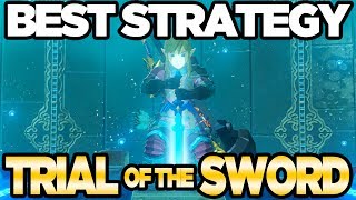 BEST STRATEGY for Trial of the Sword Guide  Breath of the Wild DLC Pack 1  Austin John Plays [upl. by Akemahc509]