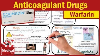 Pharmacology CVS 22 Anticoagulant Drugs  Part 2 Warfarin mechanism of action  Coumadin [upl. by Ainslie]