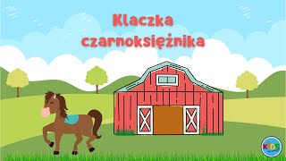 KLACZKA CZARNOKSIĘŻNIKA 🐴 słuchowiska dla dzieci audiobook dla dzieci 🎧 [upl. by Annaitsirhc]