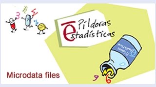 Microdata FilesINESpain [upl. by Danby]