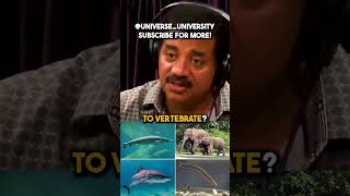 The Big Concern About Aliens w Neil DeGrasse Tyson [upl. by Livingstone435]