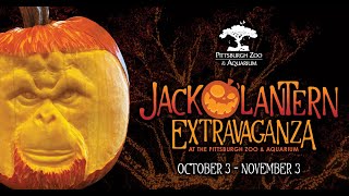 Jack OLantern Extravaganza [upl. by Bank]