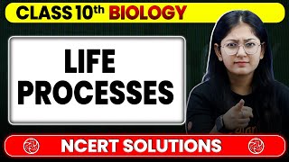 Life Processes  NCERT Solutions  Class 10 Biology Chapter 5  Board Exam 2025  Khushboo Mam [upl. by Searby13]