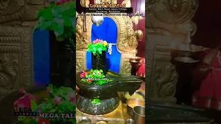 Pradosham பிரதோசம் 29102024  Shiva temple  Bangalore  tamil omnamahshivaya [upl. by Nayrda]