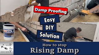 How to stop rising damp easy DIY solution [upl. by Dierdre]