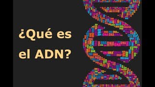 ¿Qué es el ADN [upl. by Marcus]