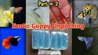 Exotic Guppy Fish Unpacking ❤️‍🔥 [upl. by Nairde22]