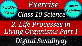 Exercise Class 10 Science 2 Life Processes in Living Organisms Part 1 । class 10 science chapter 2 [upl. by Wappes]