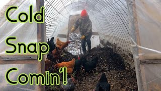 Chicken Compost  Prepping for Cold Snap [upl. by Louisa325]