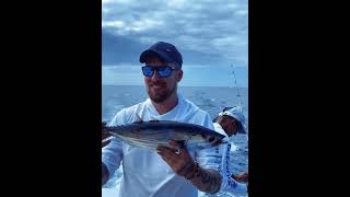 Fishing in Tenerife Los Cristianos [upl. by Liuqa]