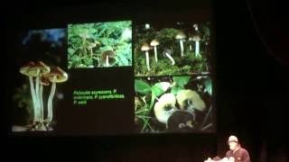 Paul Stamets on Mushrooms amp Mycology of Consciousness at CIIS San Francisco [upl. by Reilly]