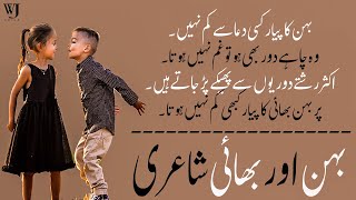 بہن بھائی شاعری  sister and brother poetry  behan bhai poetry  best poetry  urdu poetry [upl. by Thisbee]