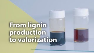 From lignin production to valorization [upl. by Cooke]