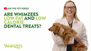 Ask The Vet Series 12  Are WHIMZEES® Low Fat and Low Calorie Dental Treats [upl. by Euhsoj]