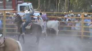 accidente terna de danielillo escalante jaripeo tanque de luna videos rcmtv inf 44 42 18 39 84 [upl. by Cinimod973]