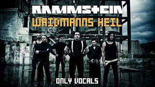 Rammstein  Waidmanns Heil Only Vocals [upl. by Stefanac]