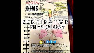 06 Respiratory Physiology [upl. by Sukhum]