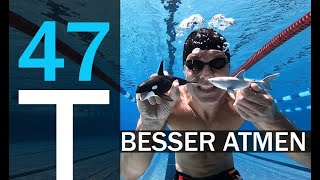 ATEMTRAINING  BESSER ATMEN  SCHNELLER SCHWIMMEN  PLAN 47 [upl. by Betsey]