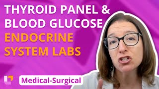 Thyroid Panel and Blood Glucose Labs  MedicalSurgical  Endocrine  LevelUpRN [upl. by Ahsienak268]