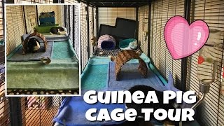 Guinea Pig Cage Tour January 2017  TripleWide Midwest Critter Nation [upl. by Iridissa]