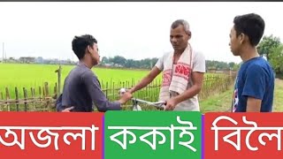 Ajola kokai biloi ☺️☺️☺️Assamese comedy video [upl. by Werbel]